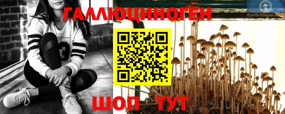 Галлюциногенные грибы ЛСД Большой Камень